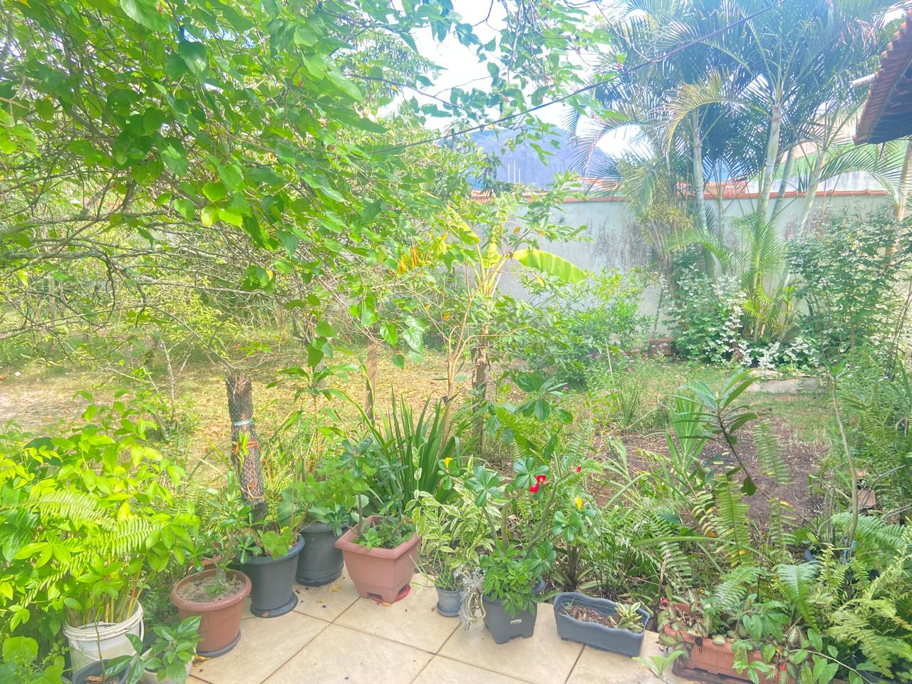 Sem Foto