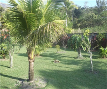 Jardim